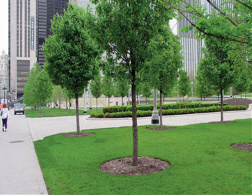 Planter Drainage Systems